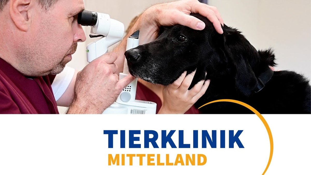 Tierklinik Mittelland AG